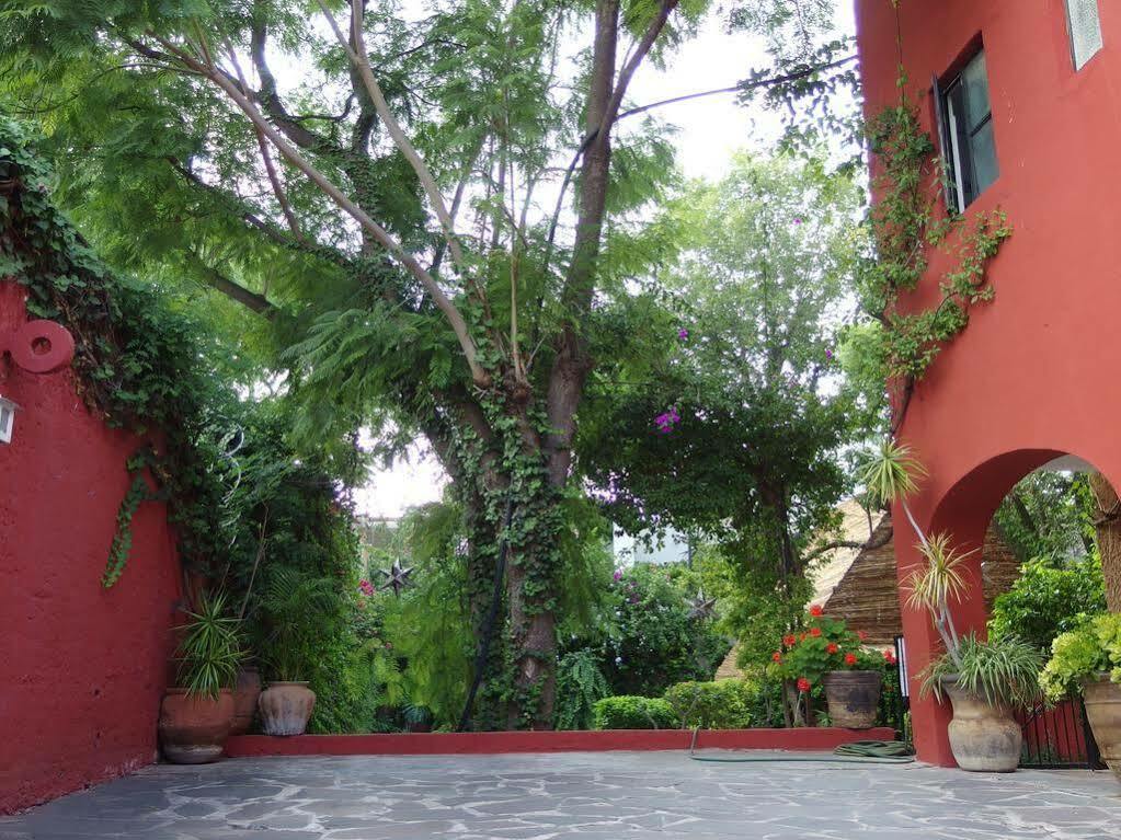 Casa De Las Conservas Comfort ซานมิเกล เด อาเญนเด ภายนอก รูปภาพ